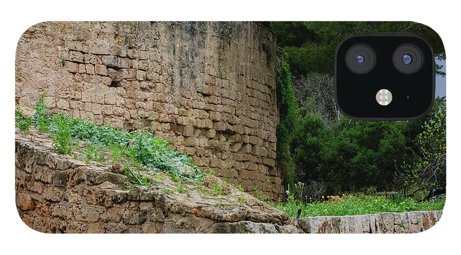 Spain Castle III - Phone Case