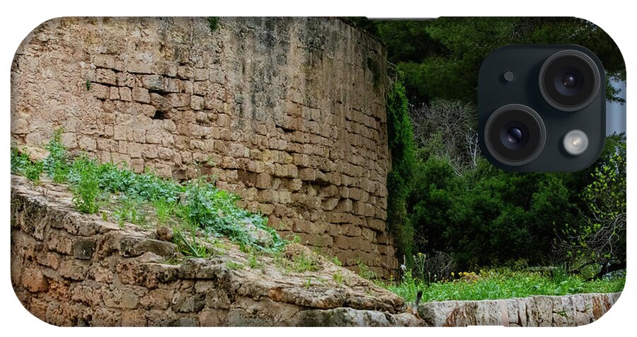 Spain Castle III - Phone Case