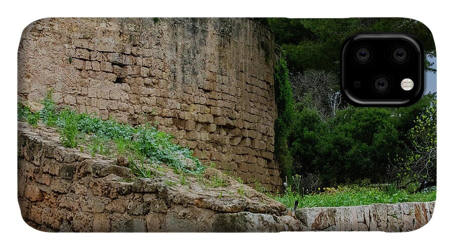 Spain Castle III - Phone Case