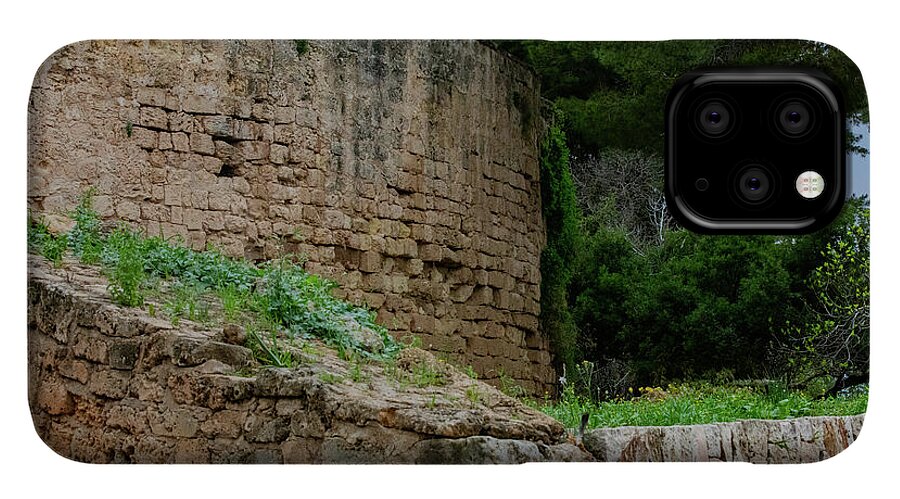 Spain Castle III - Phone Case