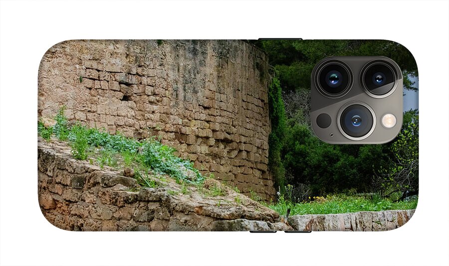 Spain Castle III - Phone Case