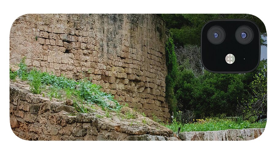 Spain Castle III - Phone Case