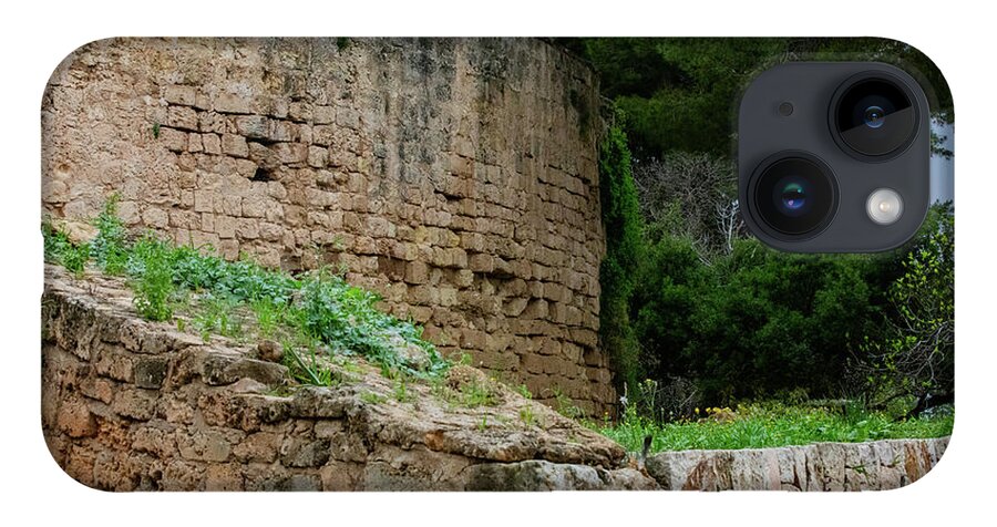 Spain Castle III - Phone Case