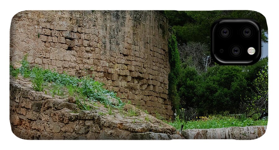 Spain Castle III - Phone Case