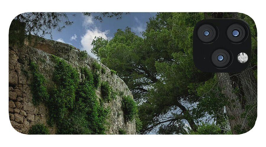 Spain Castle IV - Phone Case