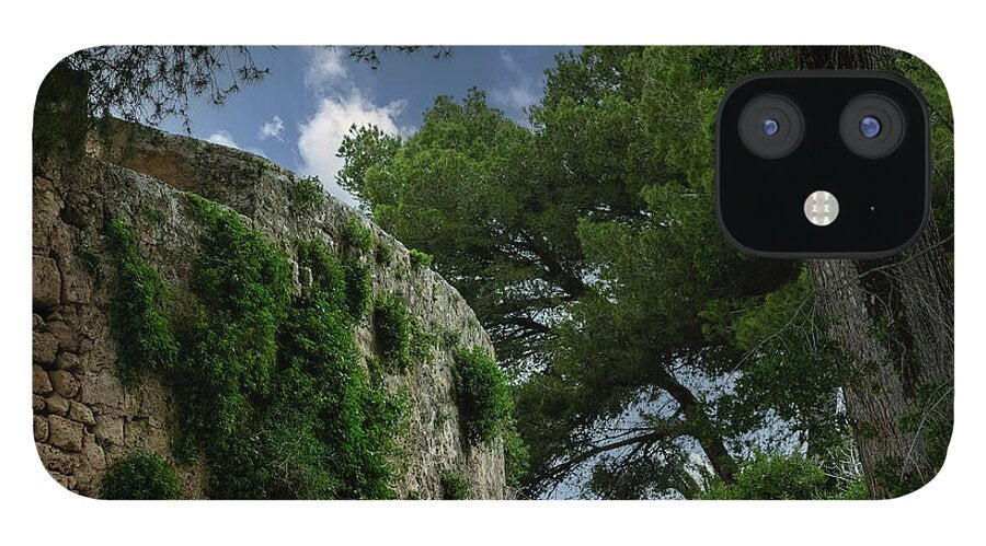 Spain Castle IV - Phone Case