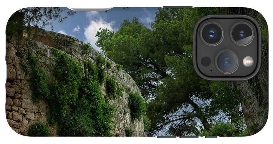 Spain Castle IV - Phone Case