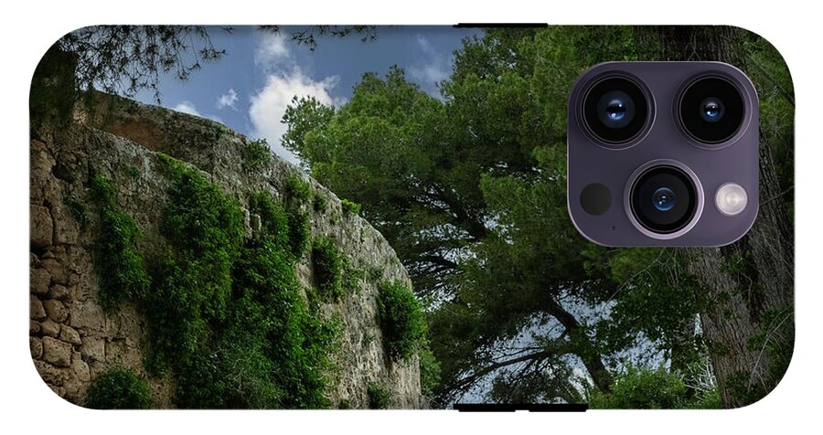 Spain Castle IV - Phone Case