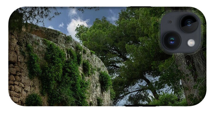 Spain Castle IV - Phone Case