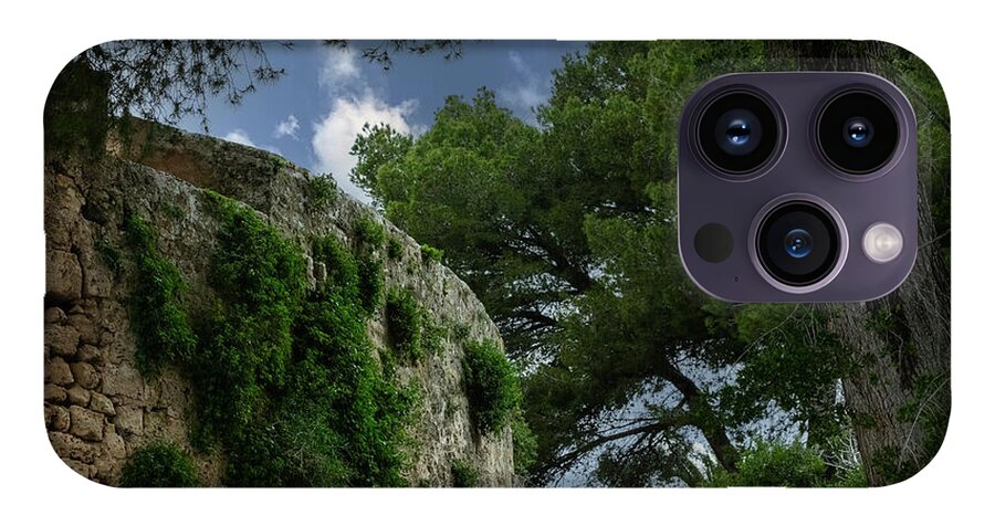 Spain Castle IV - Phone Case