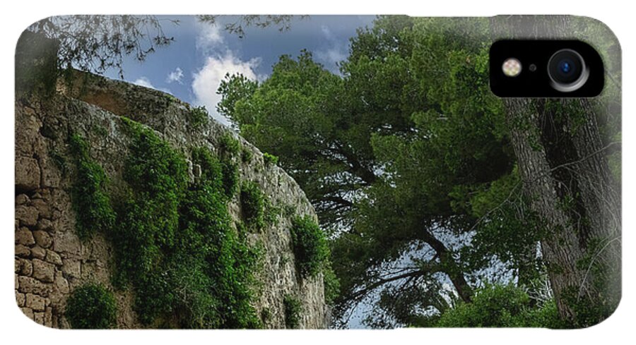 Spain Castle IV - Phone Case