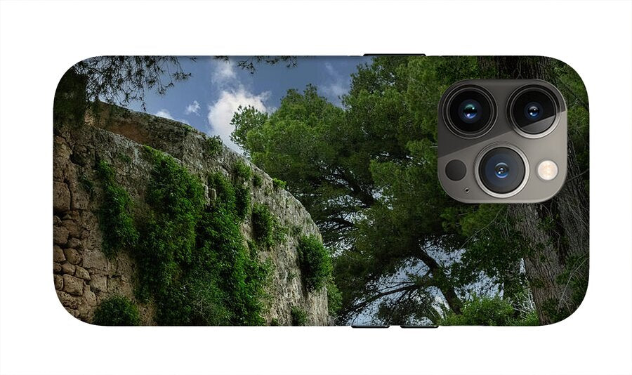 Spain Castle IV - Phone Case