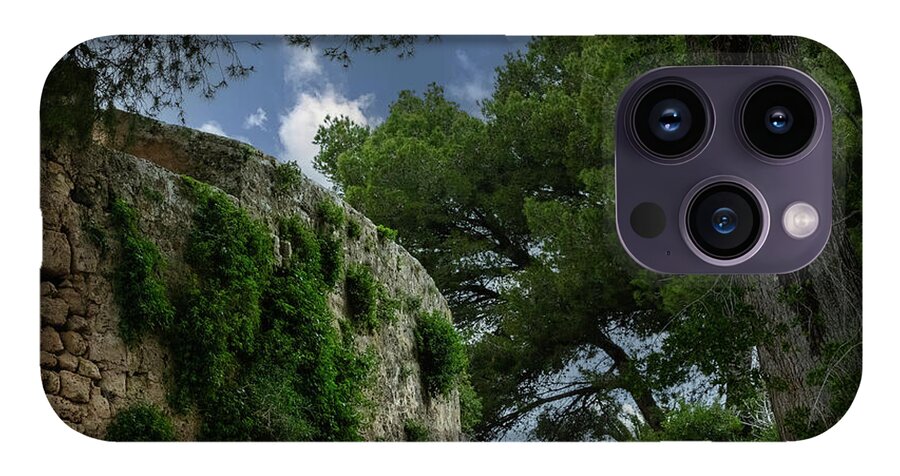 Spain Castle IV - Phone Case