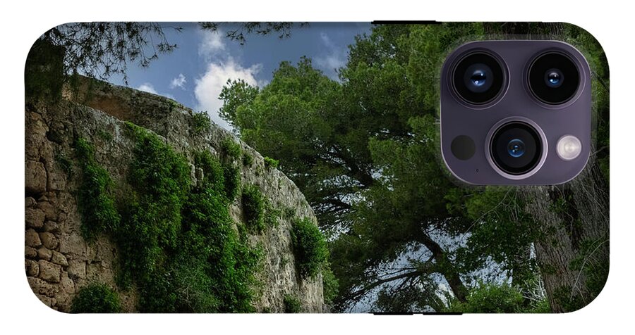 Spain Castle IV - Phone Case