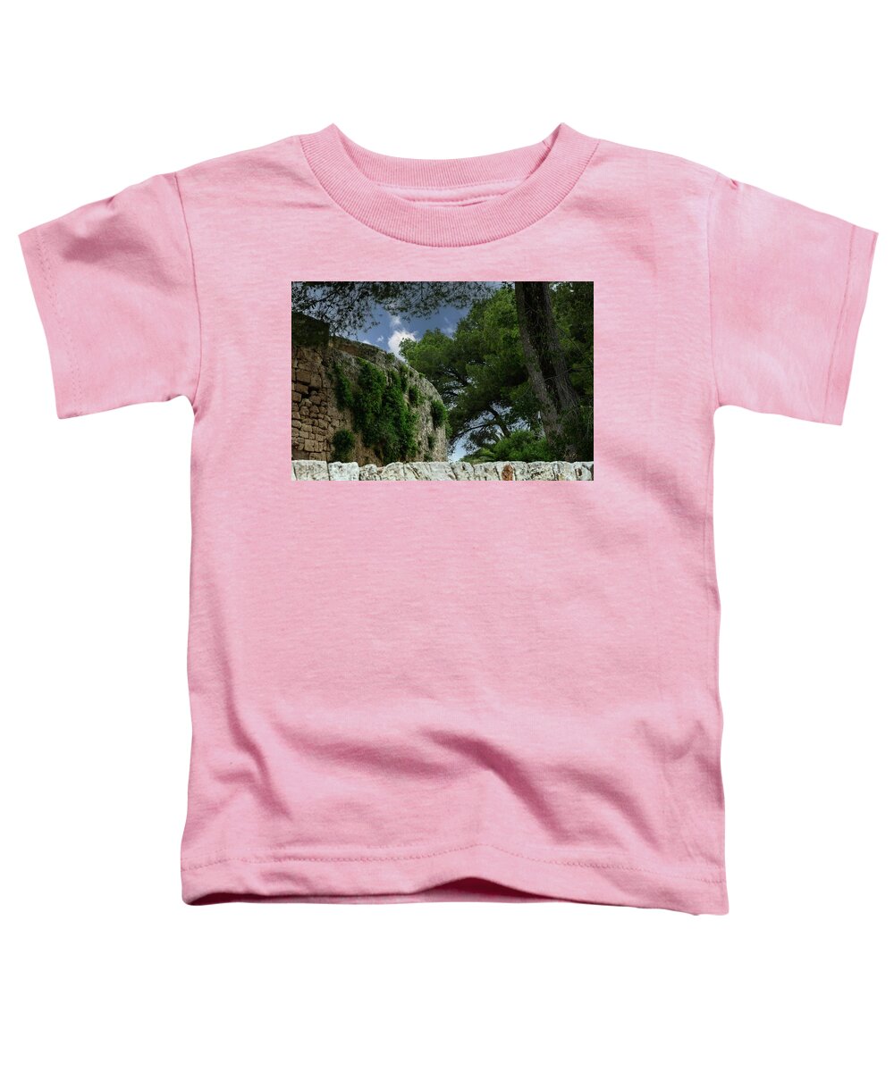 Spain Castle IV - Toddler T-Shirt