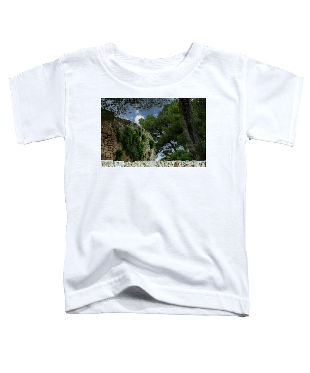 Spain Castle IV - Toddler T-Shirt