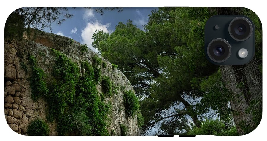 Spain Castle IV - Phone Case