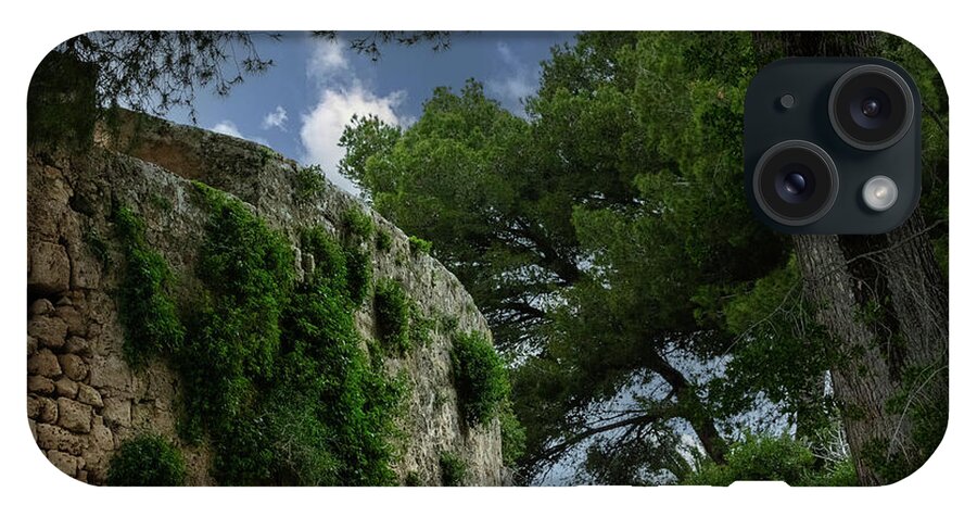 Spain Castle IV - Phone Case