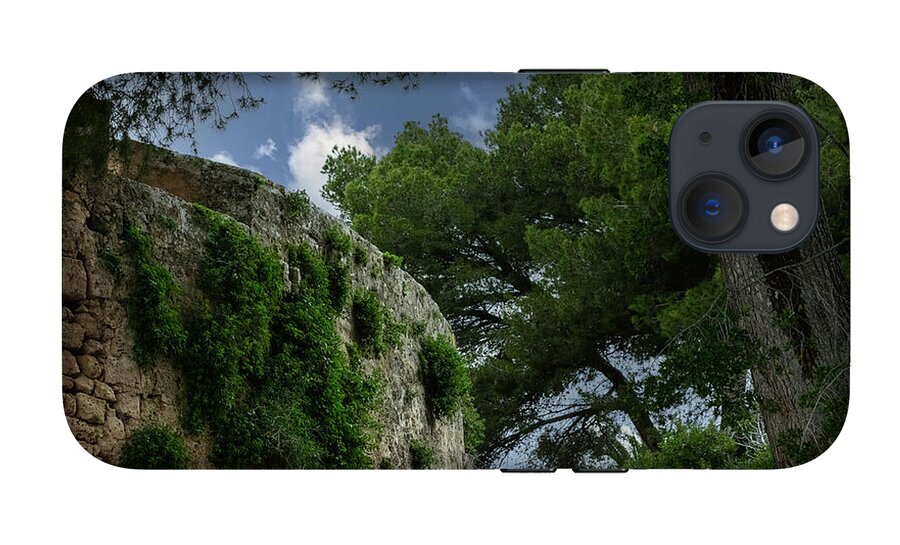 Spain Castle IV - Phone Case