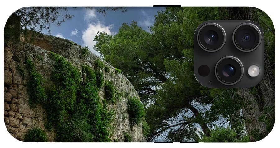 Spain Castle IV - Phone Case