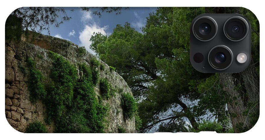 Spain Castle IV - Phone Case