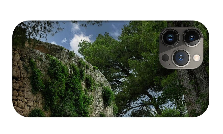 Spain Castle IV - Phone Case