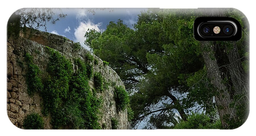 Spain Castle IV - Phone Case