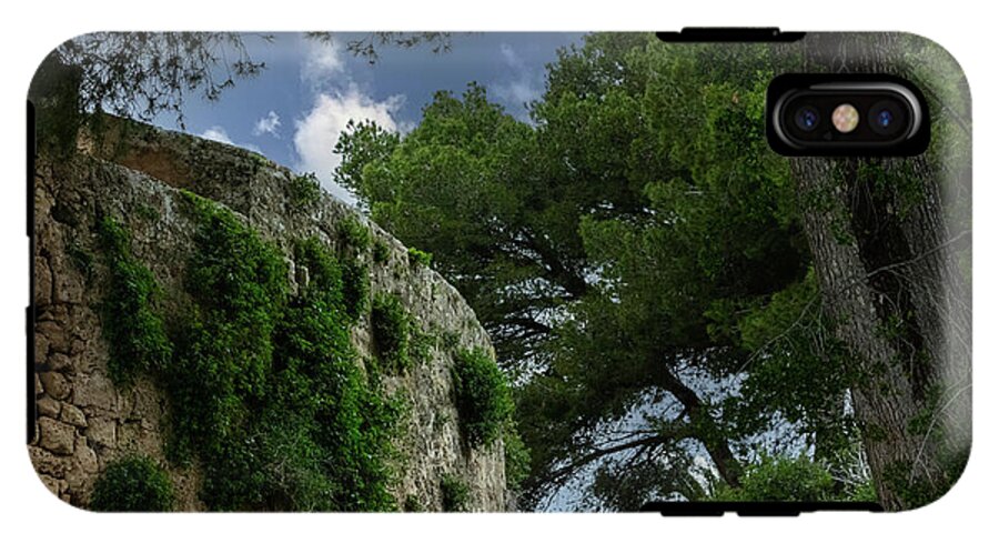 Spain Castle IV - Phone Case