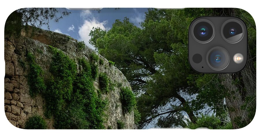 Spain Castle IV - Phone Case