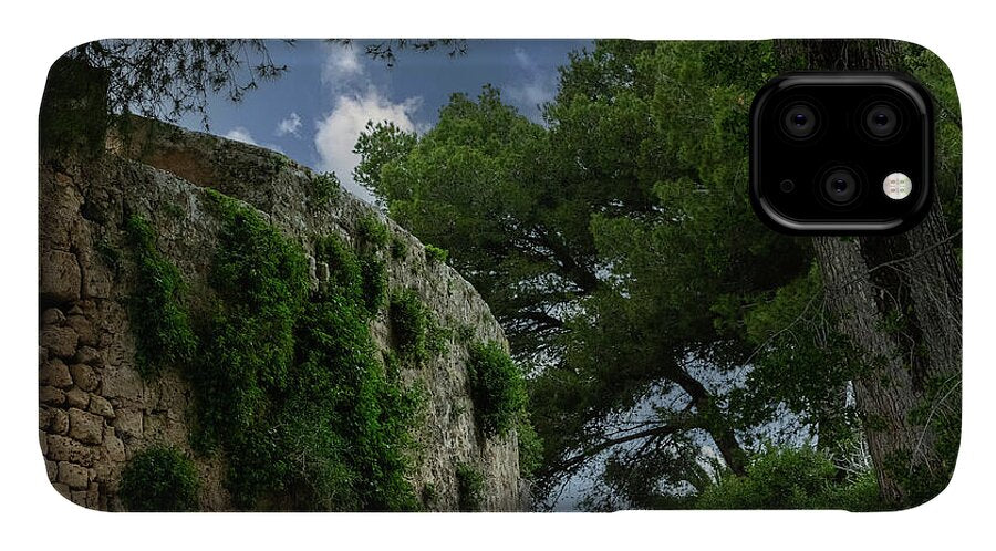 Spain Castle IV - Phone Case