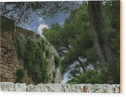 Spain Castle IV - Wood Print