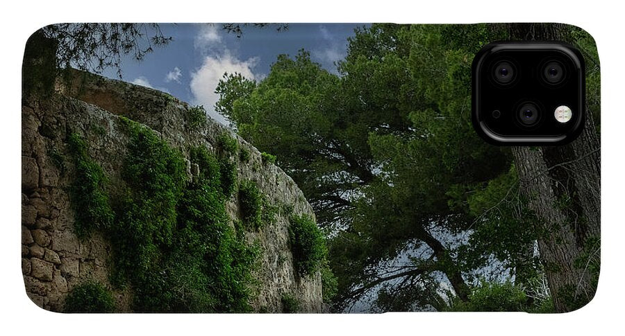 Spain Castle IV - Phone Case