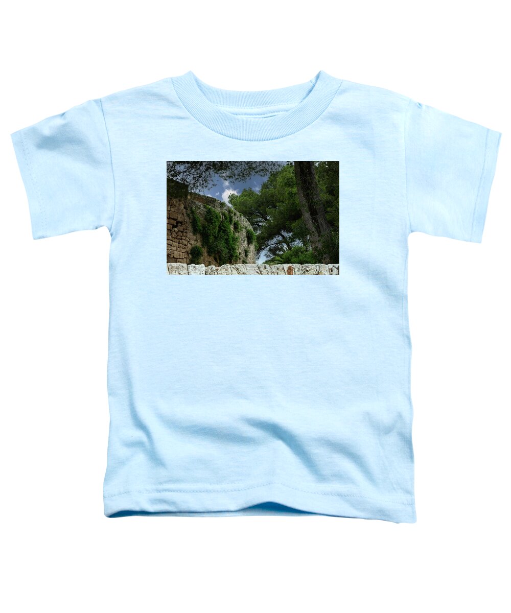 Spain Castle IV - Toddler T-Shirt