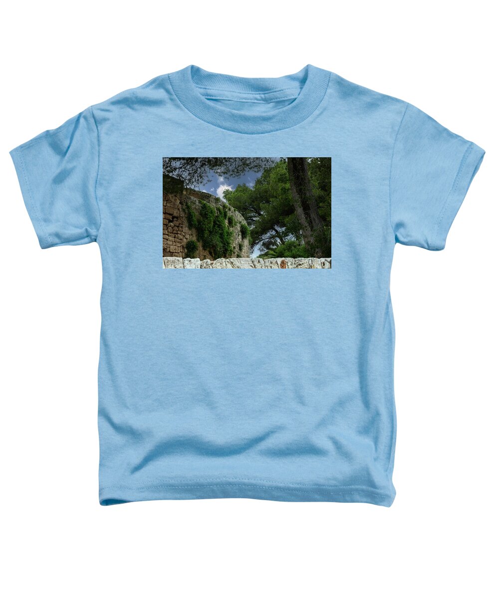 Spain Castle IV - Toddler T-Shirt