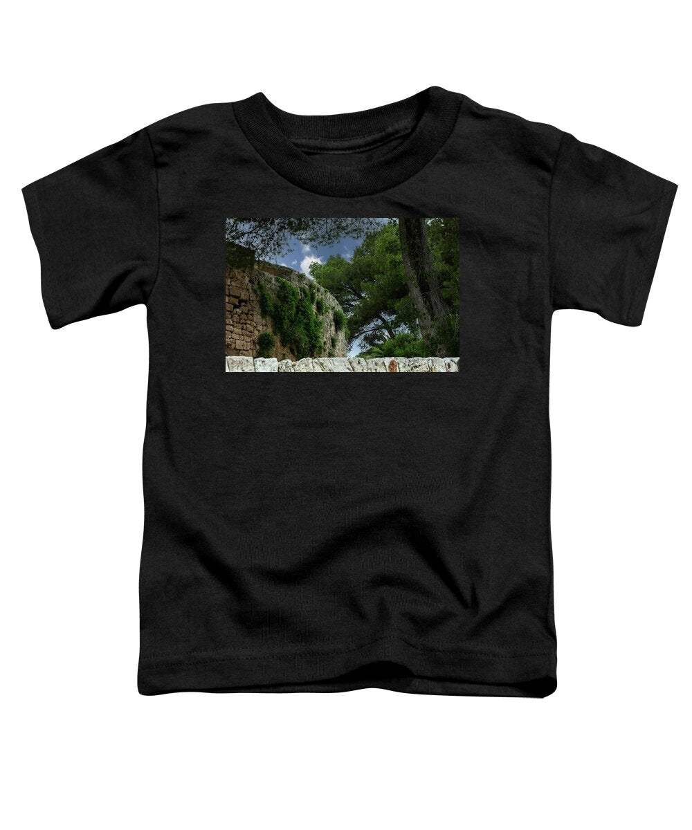 Spain Castle IV - Toddler T-Shirt