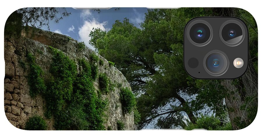 Spain Castle IV - Phone Case