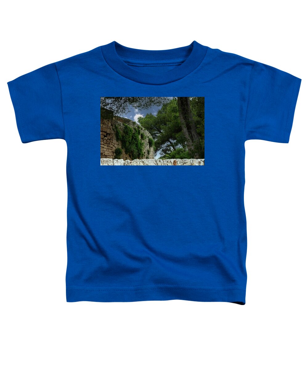 Spain Castle IV - Toddler T-Shirt