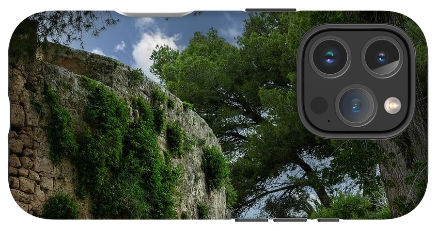 Spain Castle IV - Phone Case