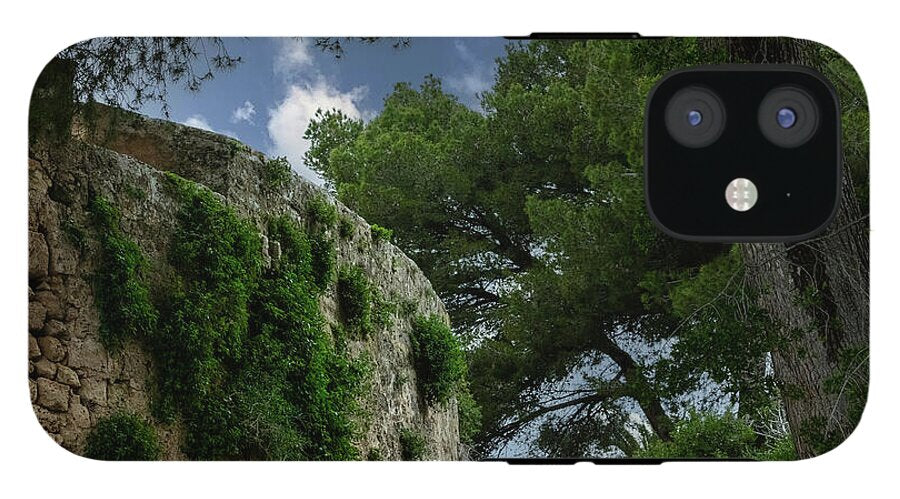 Spain Castle IV - Phone Case