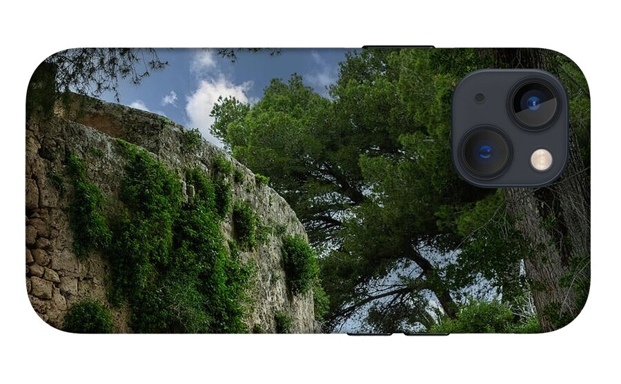 Spain Castle IV - Phone Case