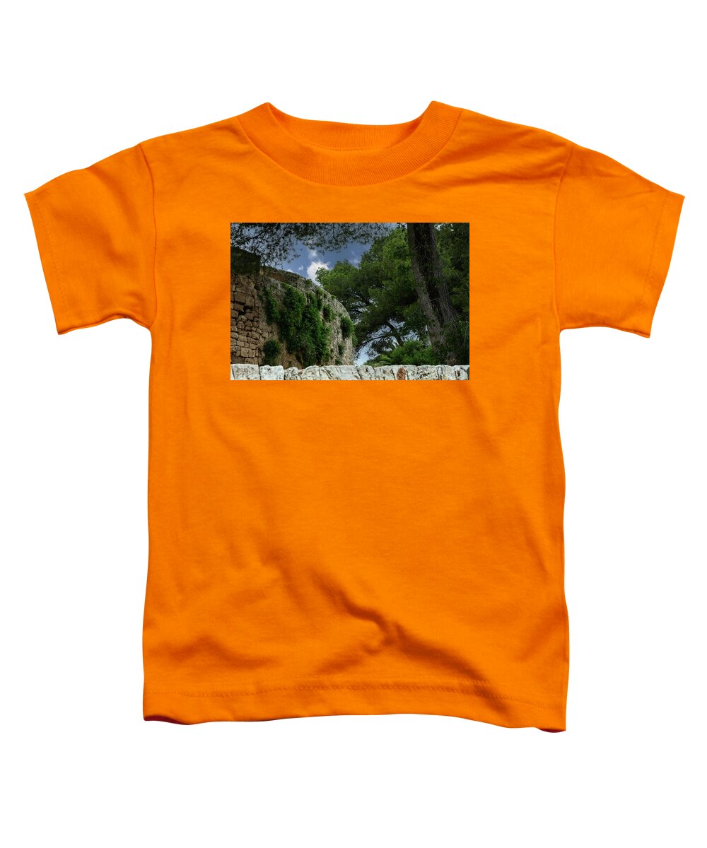 Spain Castle IV - Toddler T-Shirt