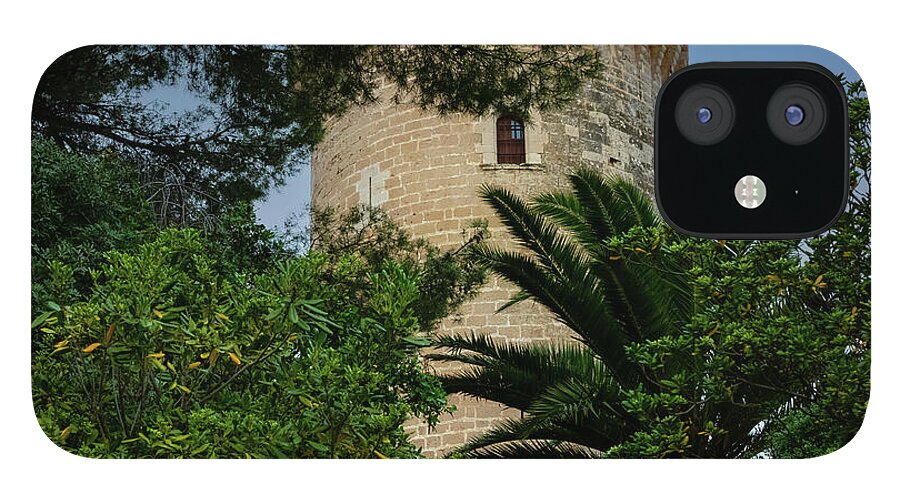 Spain Castle - Phone Case