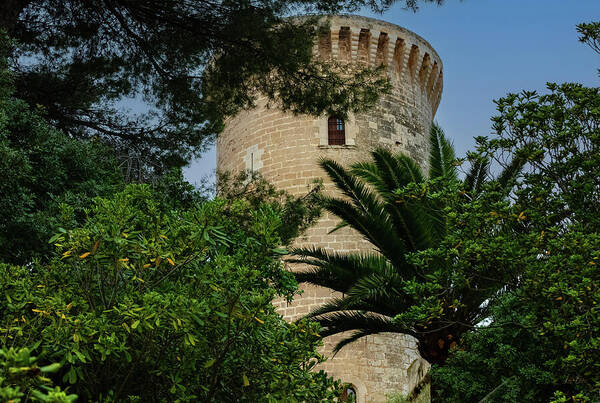 Spain Castle - Art Print