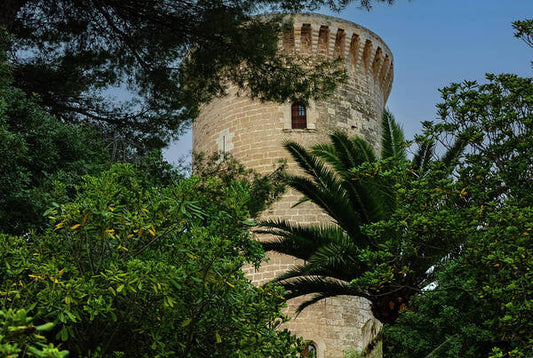 Spain Castle - Art Print