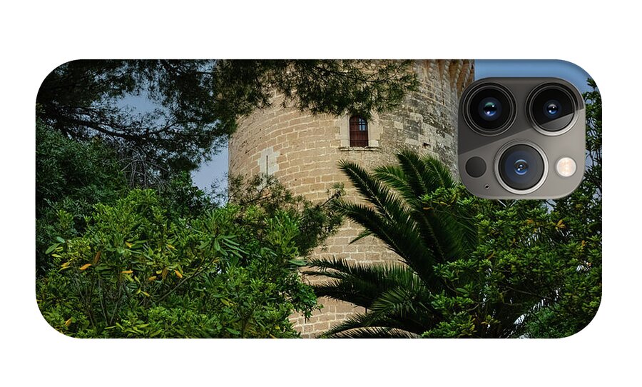 Spain Castle - Phone Case