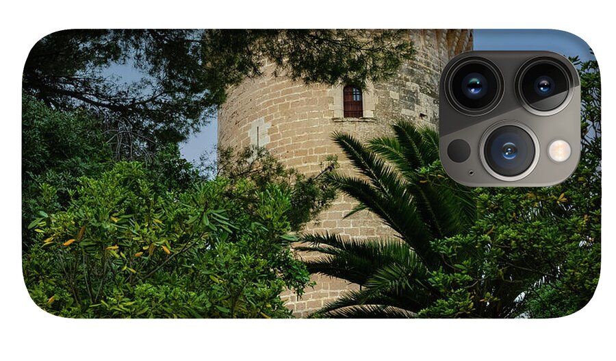 Spain Castle - Phone Case