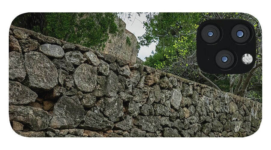 Spain Castle VII - Phone Case