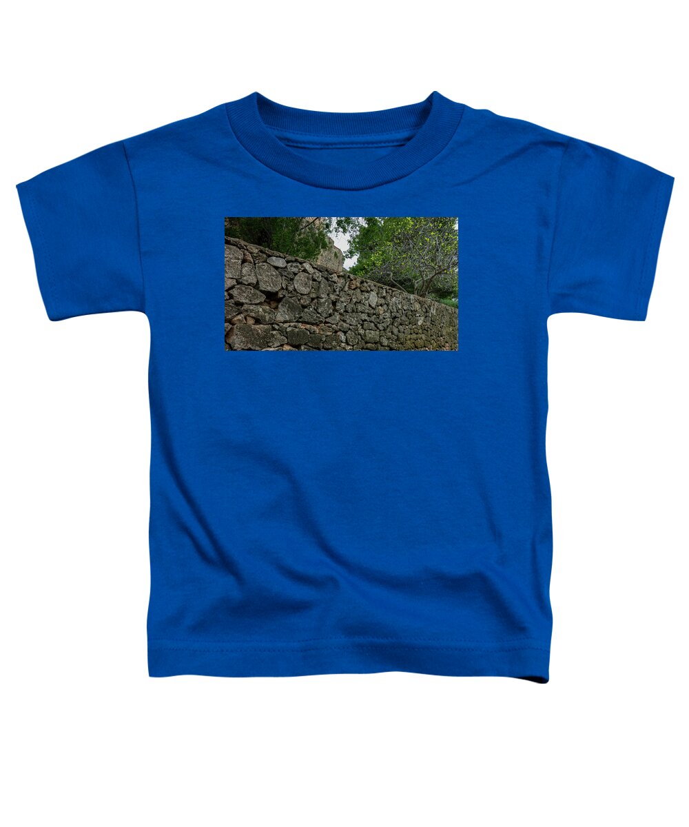Spain Castle VII - Toddler T-Shirt