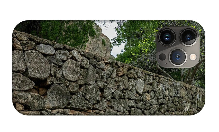 Spain Castle VII - Phone Case