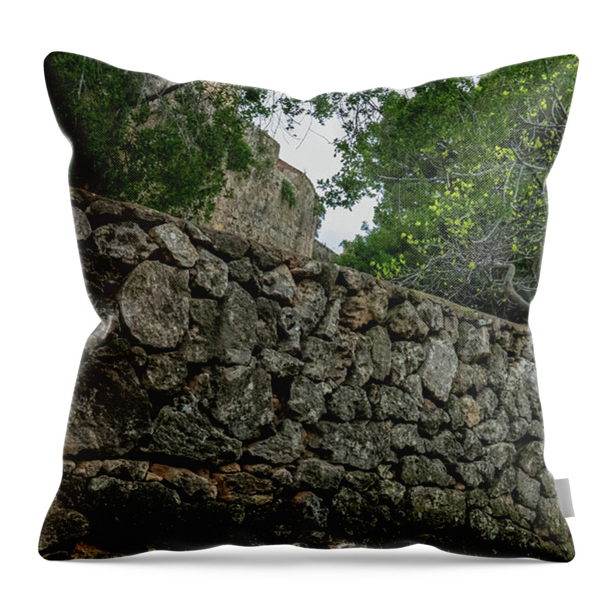 Spain Castle VII - Throw Pillow